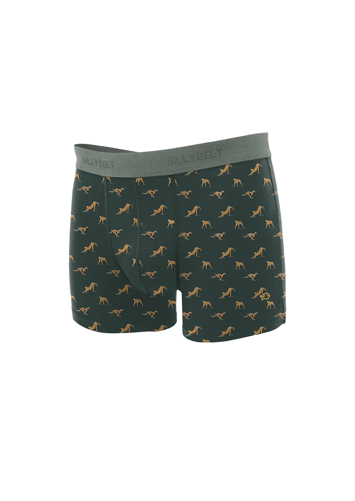 BILLYBELT  Boxer en coton biologique green wild - Vert