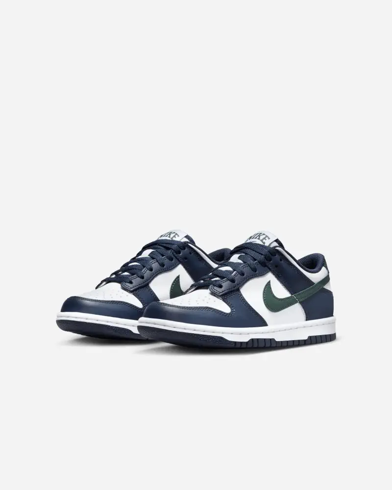 Chaussures Nike Dunk Low Bleu & Vert pour enfant