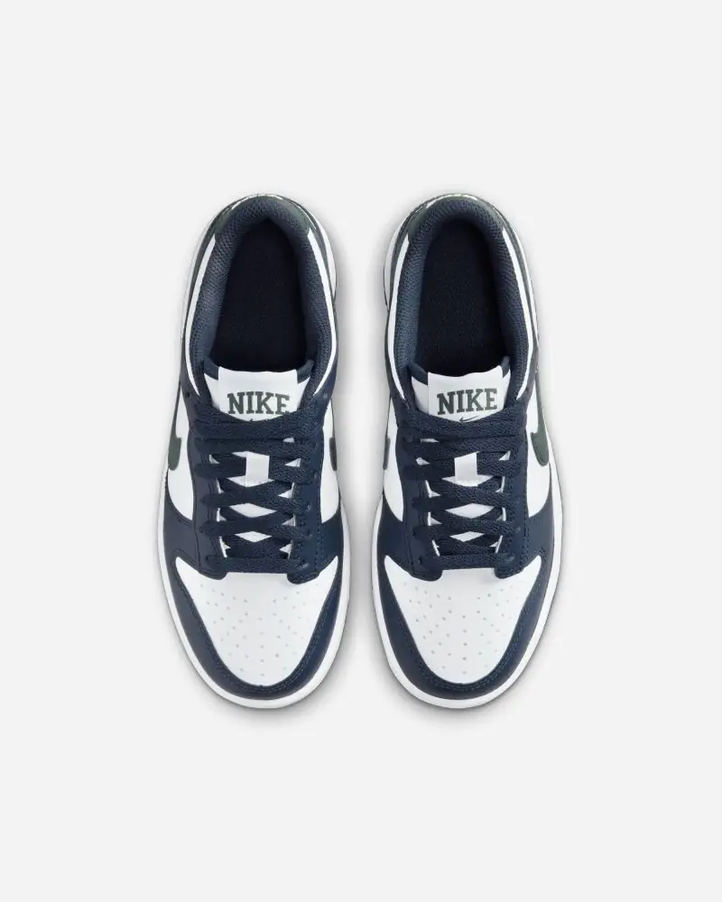 Chaussures Nike Dunk Low Bleu & Vert pour enfant