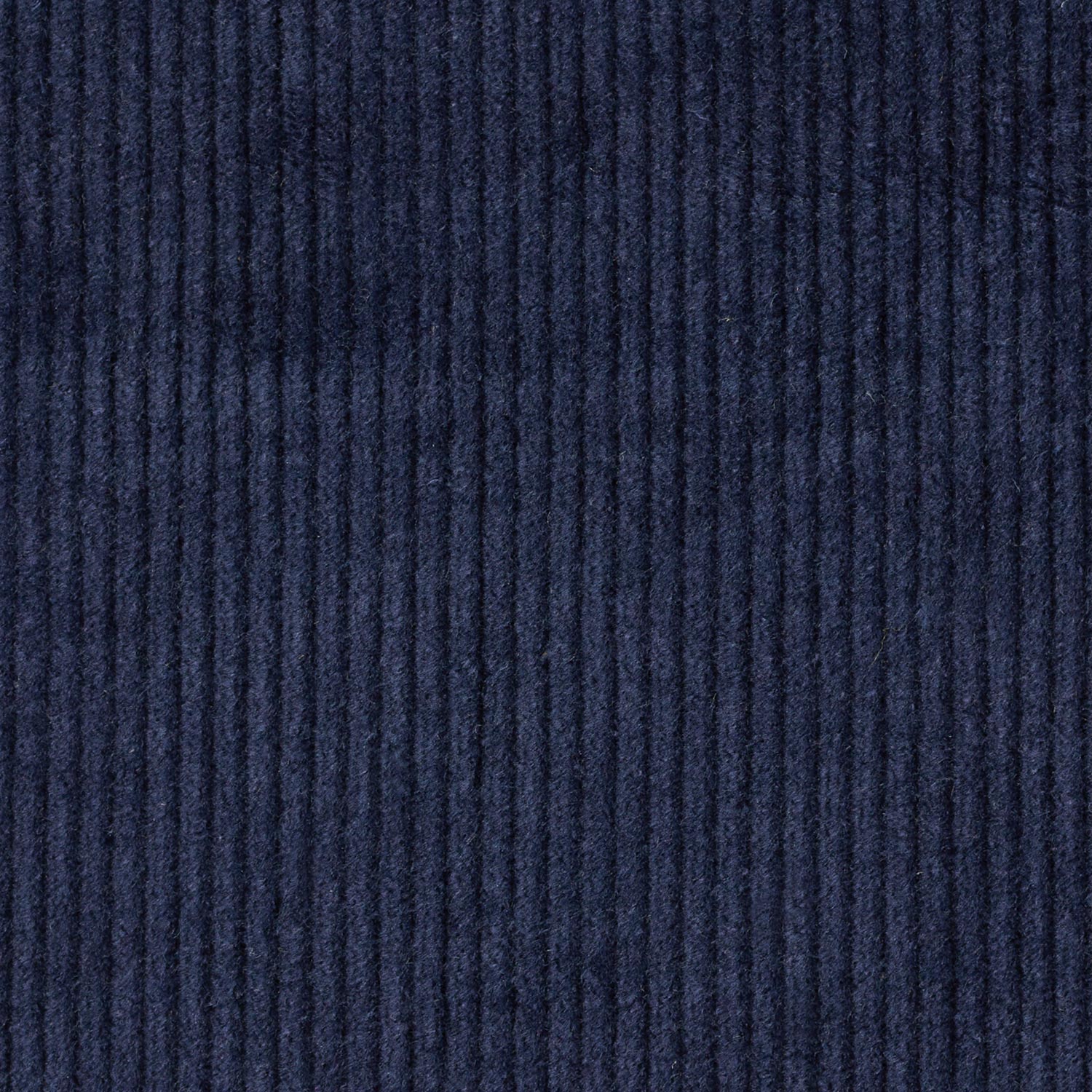 Large cordon stretch – bleu marine