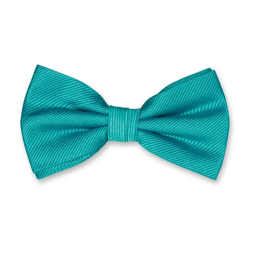 Noeuds papillon / Nœud papillon homme turquoise foncé