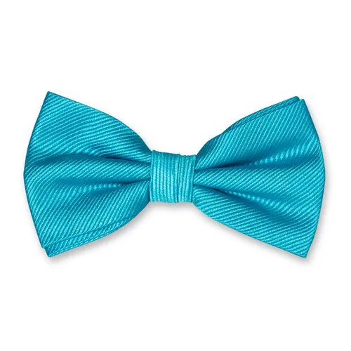 Noeuds papillon / Nœud papillon homme turquoise