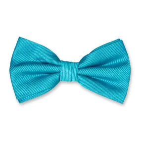 Noeuds papillon / Nœud papillon homme turquoise