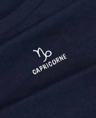 Sweatshirt homme Capricorne signe astrologique (brodé)